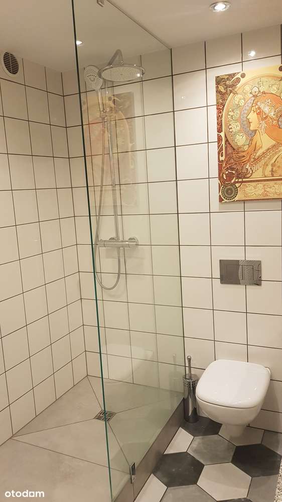 Krzyki Borek w zabytkowej willi,lokal po adaptacji i remoncie.-12