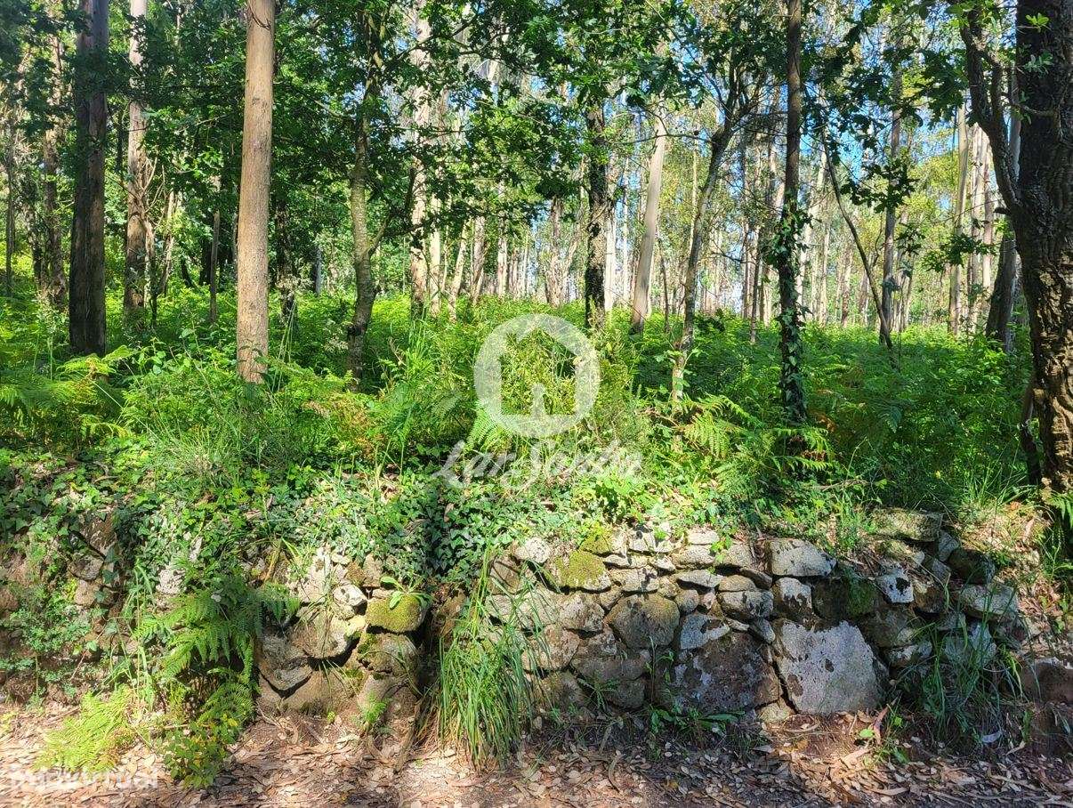 Terreno industrial com 6.100m2 em Gião, Vila do Conde - Grande imagem: 3/6