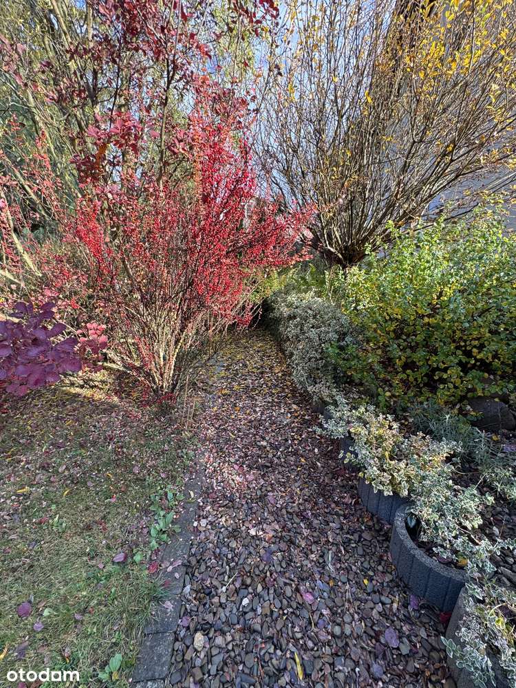 Zaczarowany ogród pod Wojciechowem - garaż, warsztat, piwniczka/schron-19