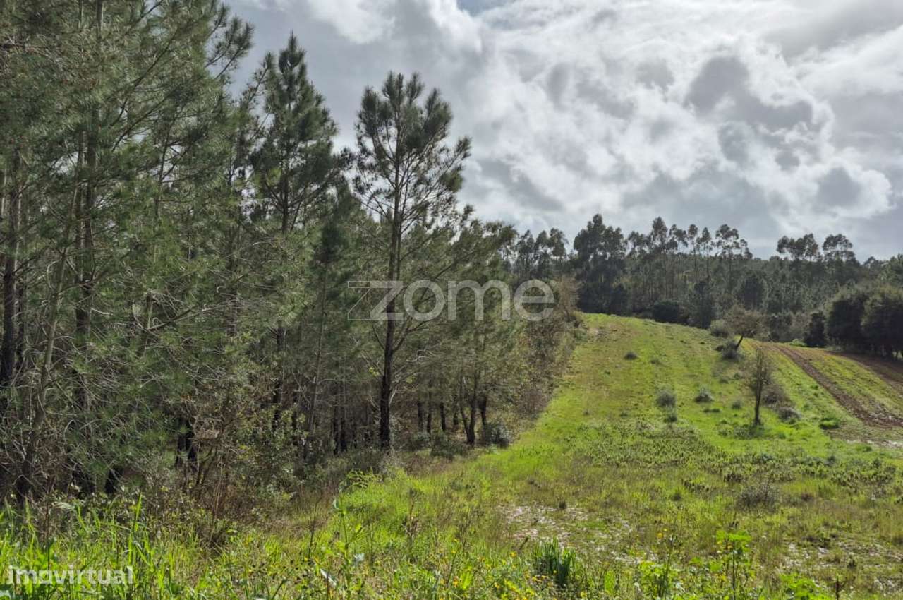 Terreno Rústico em Abrigada, Alenquer - Grande imagem: 5/50