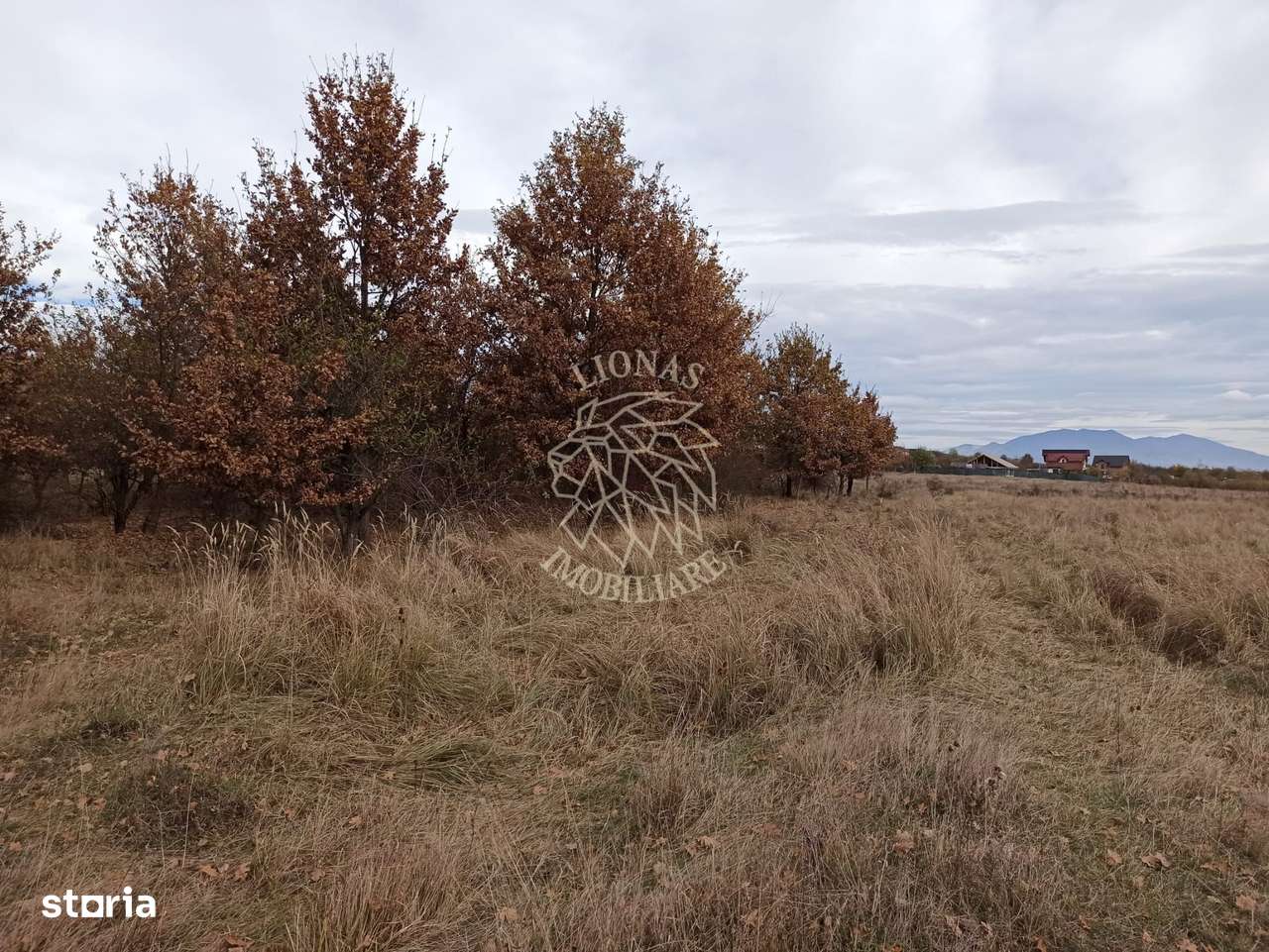 Teren intravilan- 2,025mp oportuitate casa/investitie-Zona Subcetate - Imagine principală: 2/4