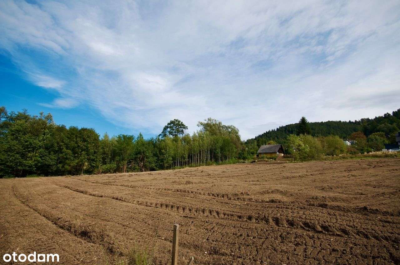 Działka w straconce, południowa ekspozycja, las-0