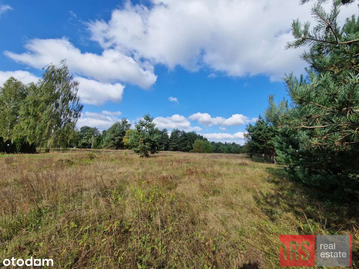 Atrakcyjna działka w dobrej cenie - Pełny obrazek: 4/8