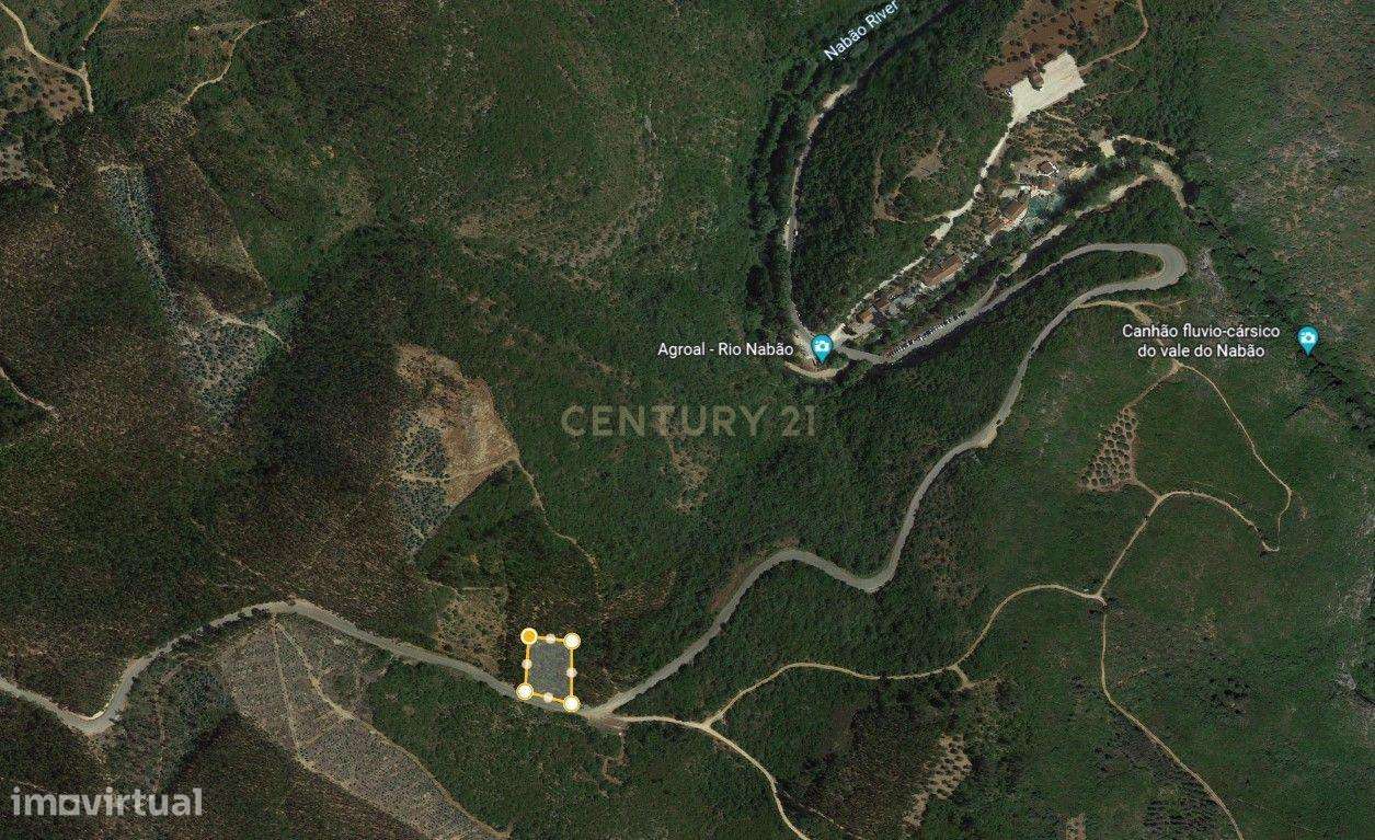 Terreno Agrícola- Tomar - 2700m2 - Grande imagem: 4/4