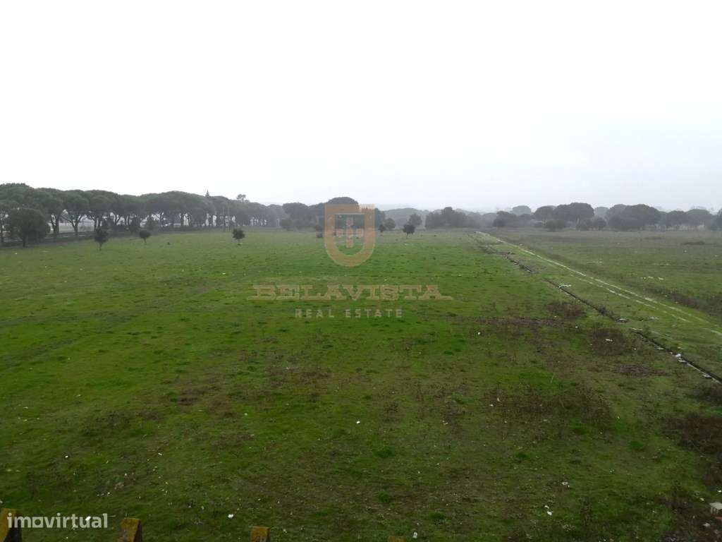 Quinta com 21Ha, a 30 min do Montijo, possibilidade de construir co...-1