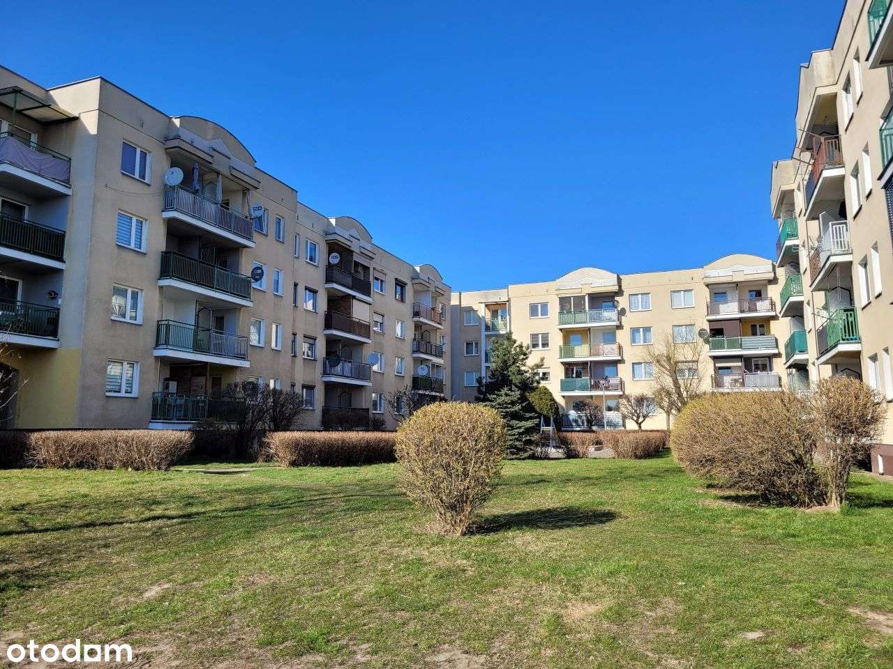 Koło ulica Tulipanowa  REERWACJA DO 15.12.2025R.-0