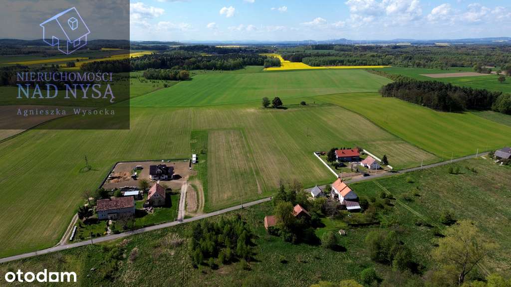 działka rolna na sprzedaż! Dłużyna Górna! - Pełny obrazek: 4/6