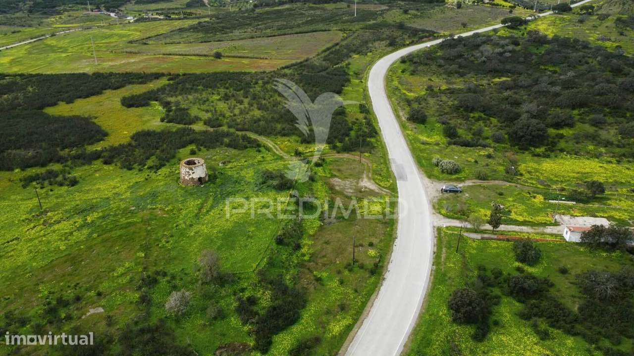 Terreno rústico com 1,63ha no Azinhal - Grande imagem: 2/10