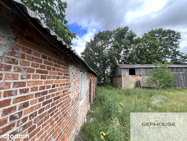 działka inwestycyjna| siedlisko| enklawa zieleni-2