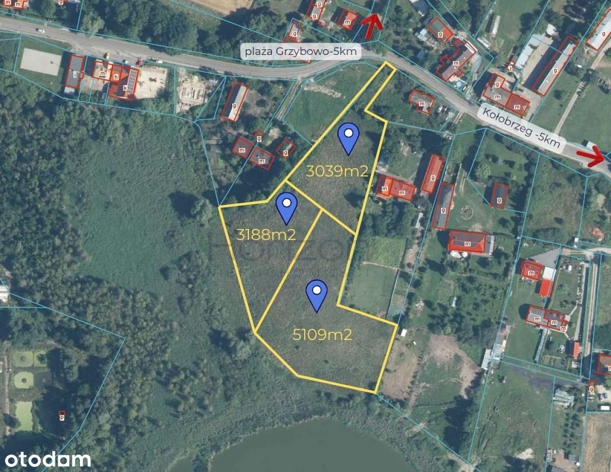 Działki siedliskowe nad jeziorem | blisko morza i Kołobrzegu - Pełny obrazek: 4/6