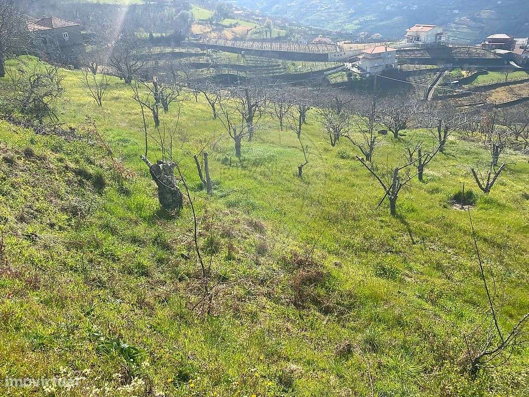 Terreno  para venda - Grande imagem: 4/9