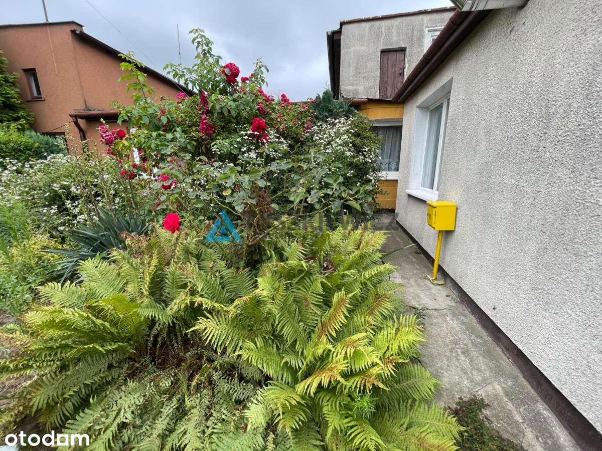 Mieszkanie bezczynszowe Gdynia Chylonia - Pełny obrazek: 2/5