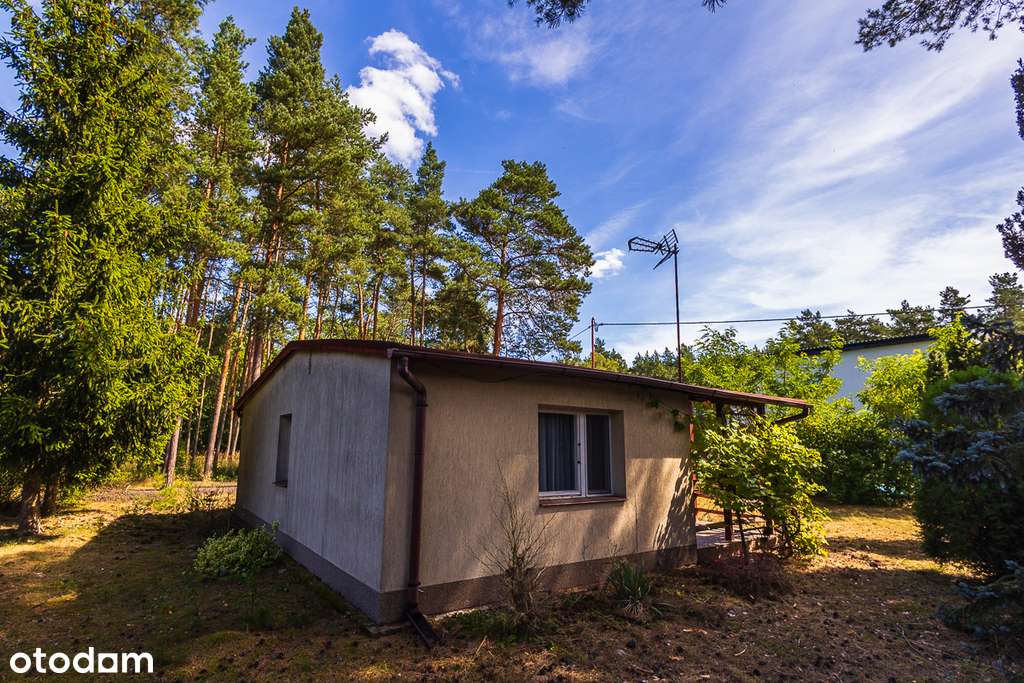 Domek letniskowy z mediami 4 km od Uniejowa - Pełny obrazek: 5/20