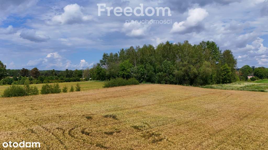 Działka budowlana w Pozezdrzu Mazury - Pełny obrazek: 4/12