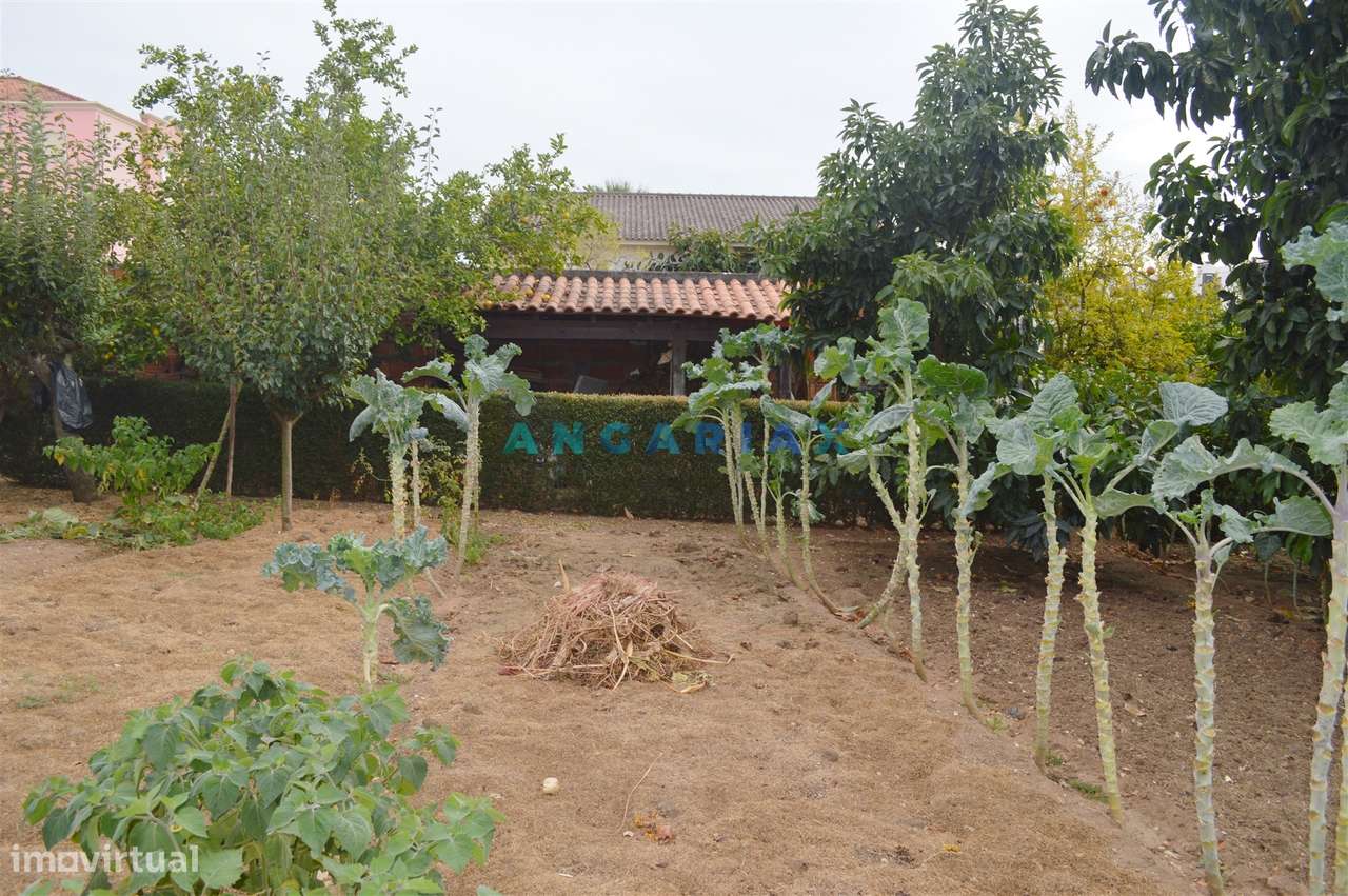 ANG901 - Terreno Urbano para Venda no Entroncamento - Grande imagem: 4/11