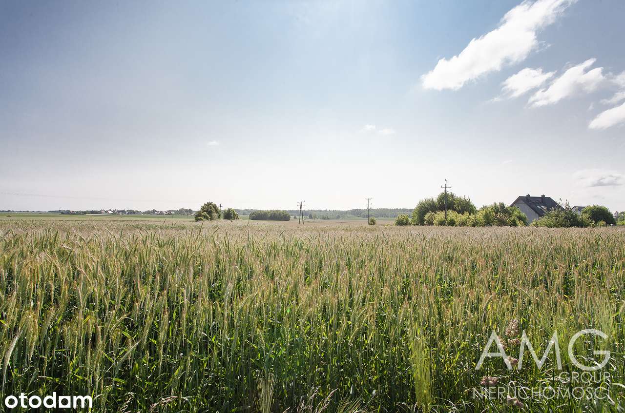 Błądzikowo – działka pod budowę, atrakcyjna lokalizacja!-6