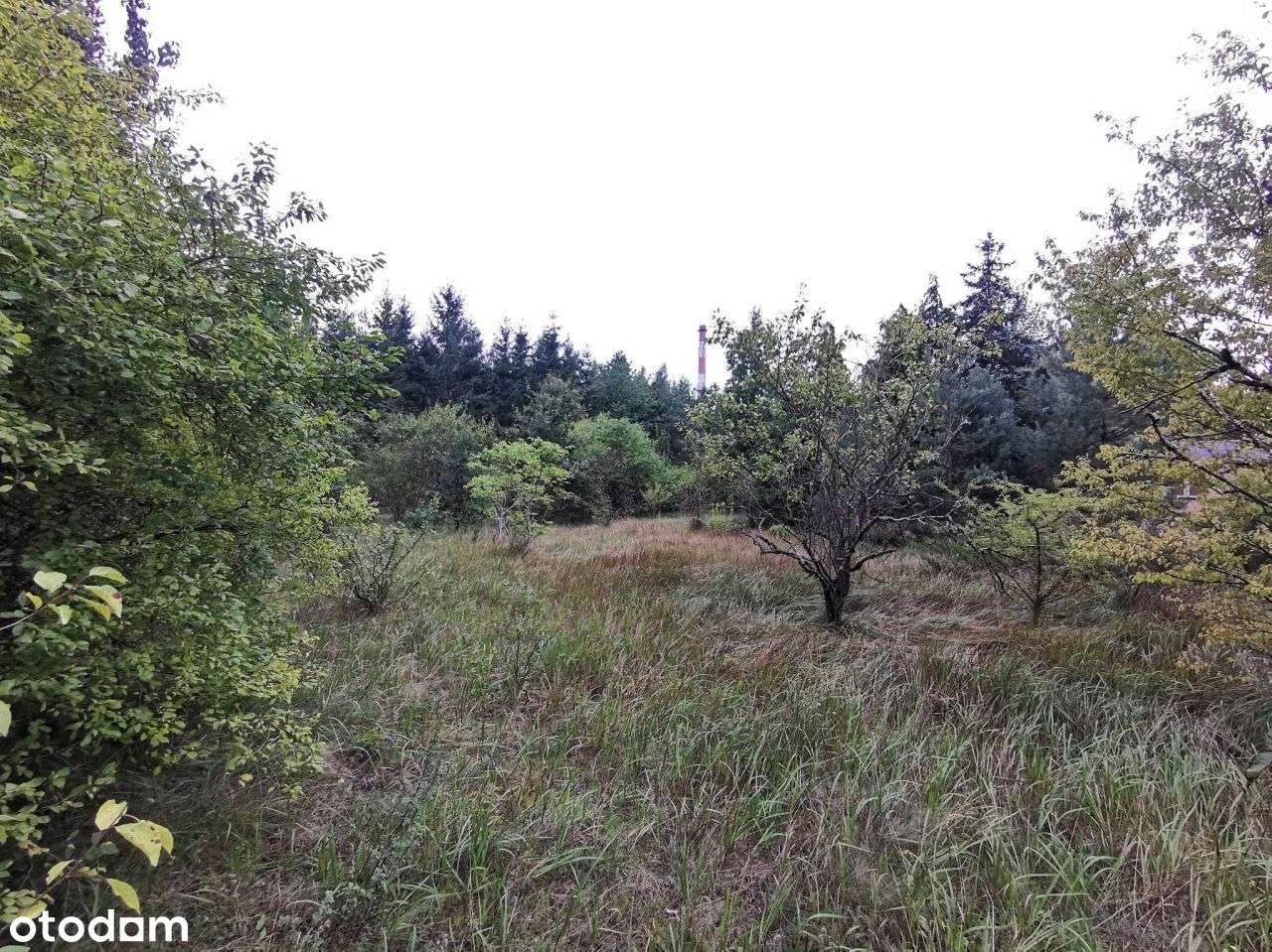 Działka przemysłowo-usługowo - Złotów, ul. Brzozow - Pełny obrazek: 5/12