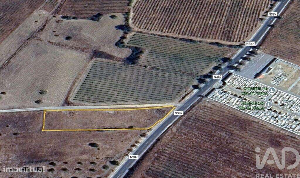 Terreno Agrícola em Vila de Frades - Grande imagem: 5/5