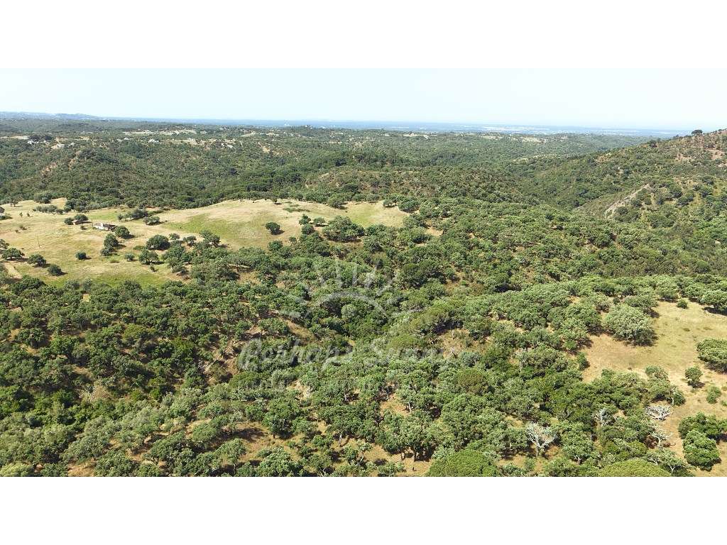 Terreno Misto - São Francisco da Serra - Melides-13