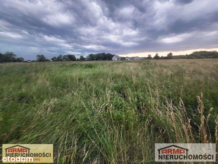 Działka Rolna W Rurzycy - Pełny obrazek: 2/10