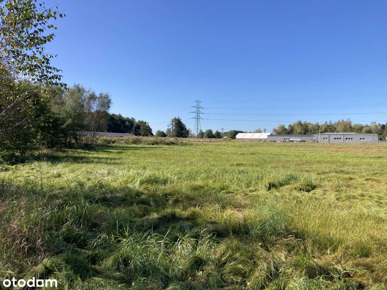 Okazja! Gardawice działki produkcyjno- usługowe 40,5 ara plus dojazd - Pełny obrazek: 5/8