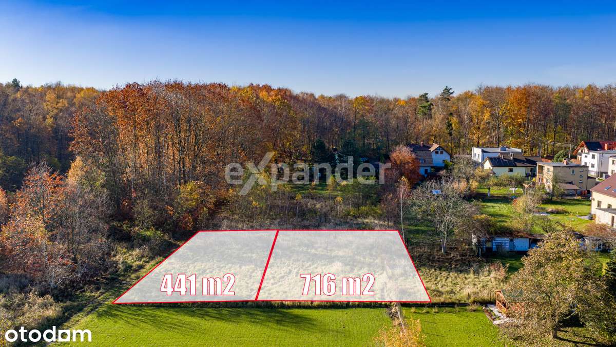 ul.. Jaśminowa/Brzozowa-granica Mikołowa i ŁaziskG - Pełny obrazek: 4/19