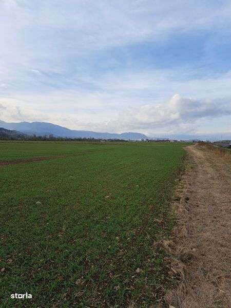 Vand teren intravilan - Imagine principală: 5/7