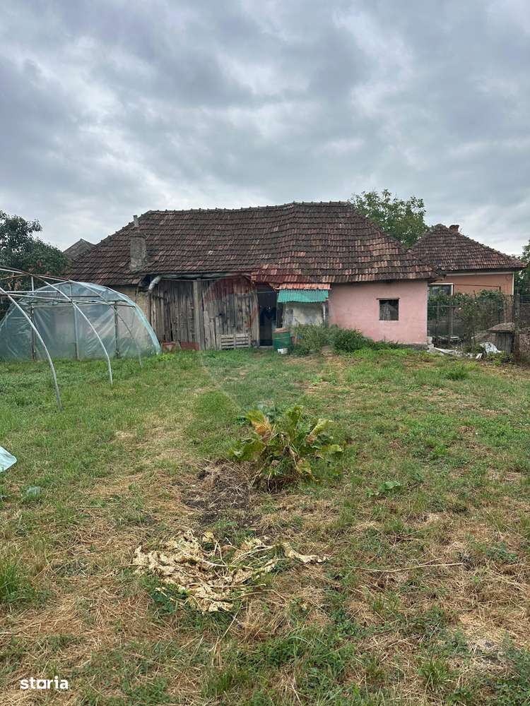 30 arii TEREN INTRAVILAN cu o GOSPODARIE veche - Imagine principală: 4/10