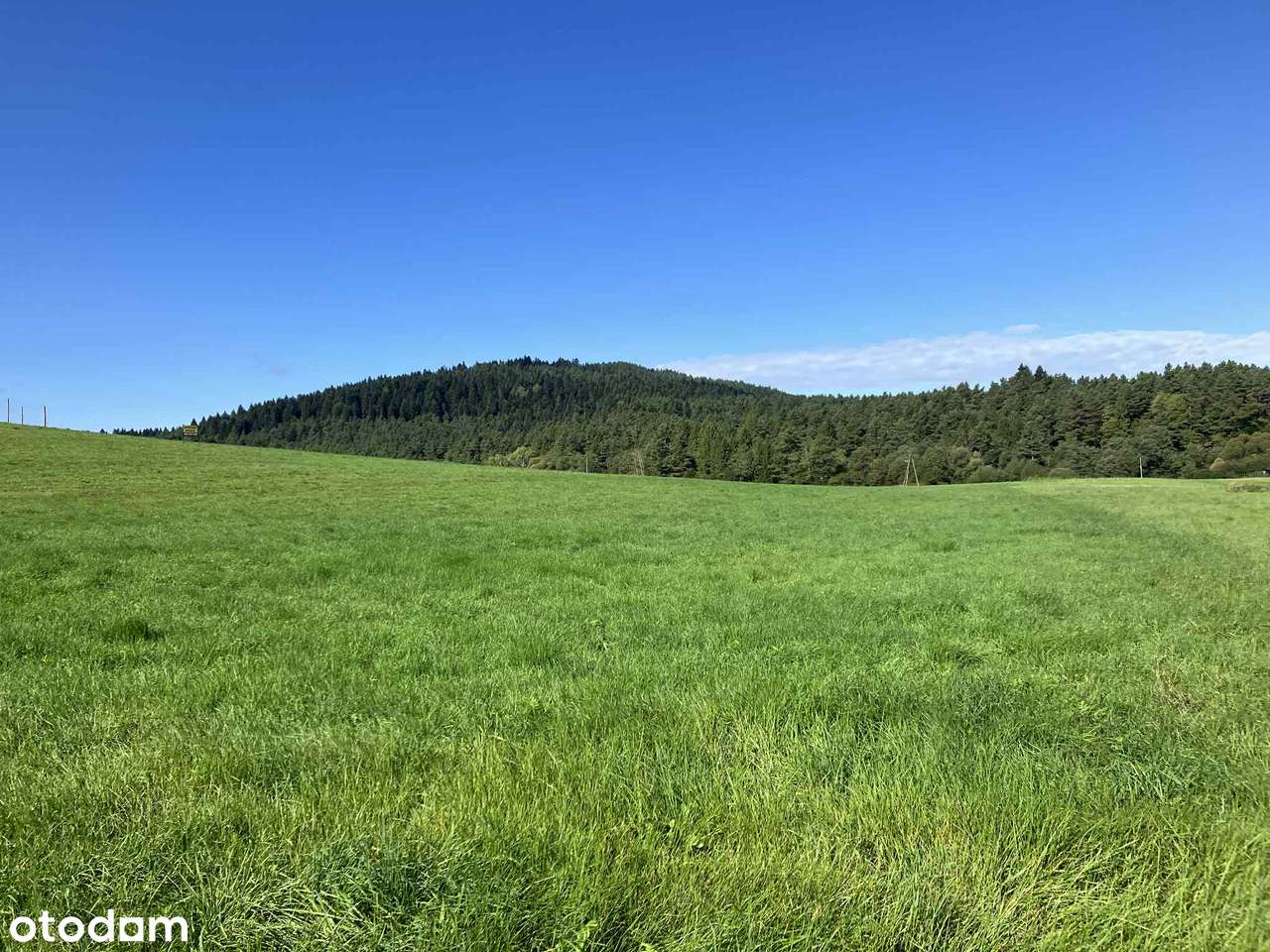 Widokowa działka budowlana w Bieszczadach - Pełny obrazek: 4/19