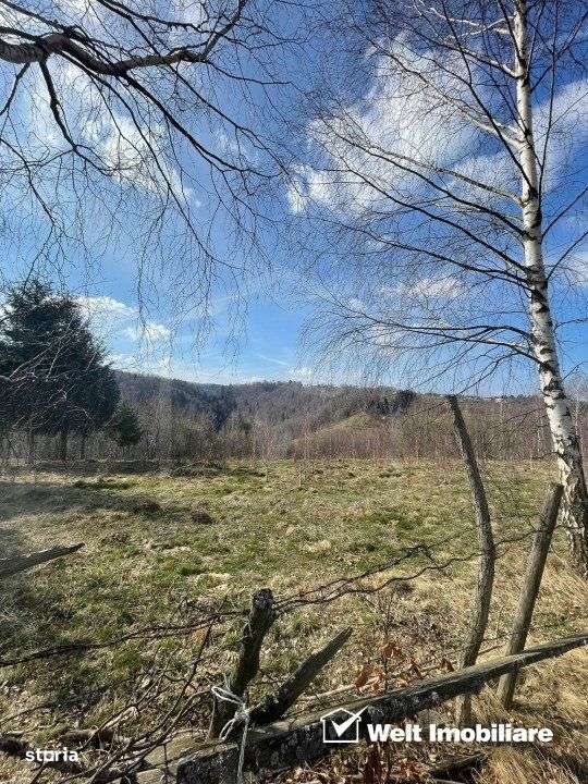 Teren cu panorama pentru cabana, Risca, Valea Fericirii - Imagine principală: 2/5