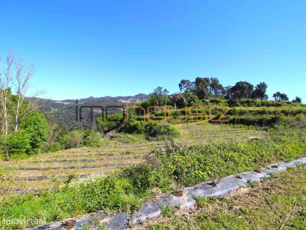 Quinta de 5.6 ha - Varias edificações, ribeiro e vista Douro-29