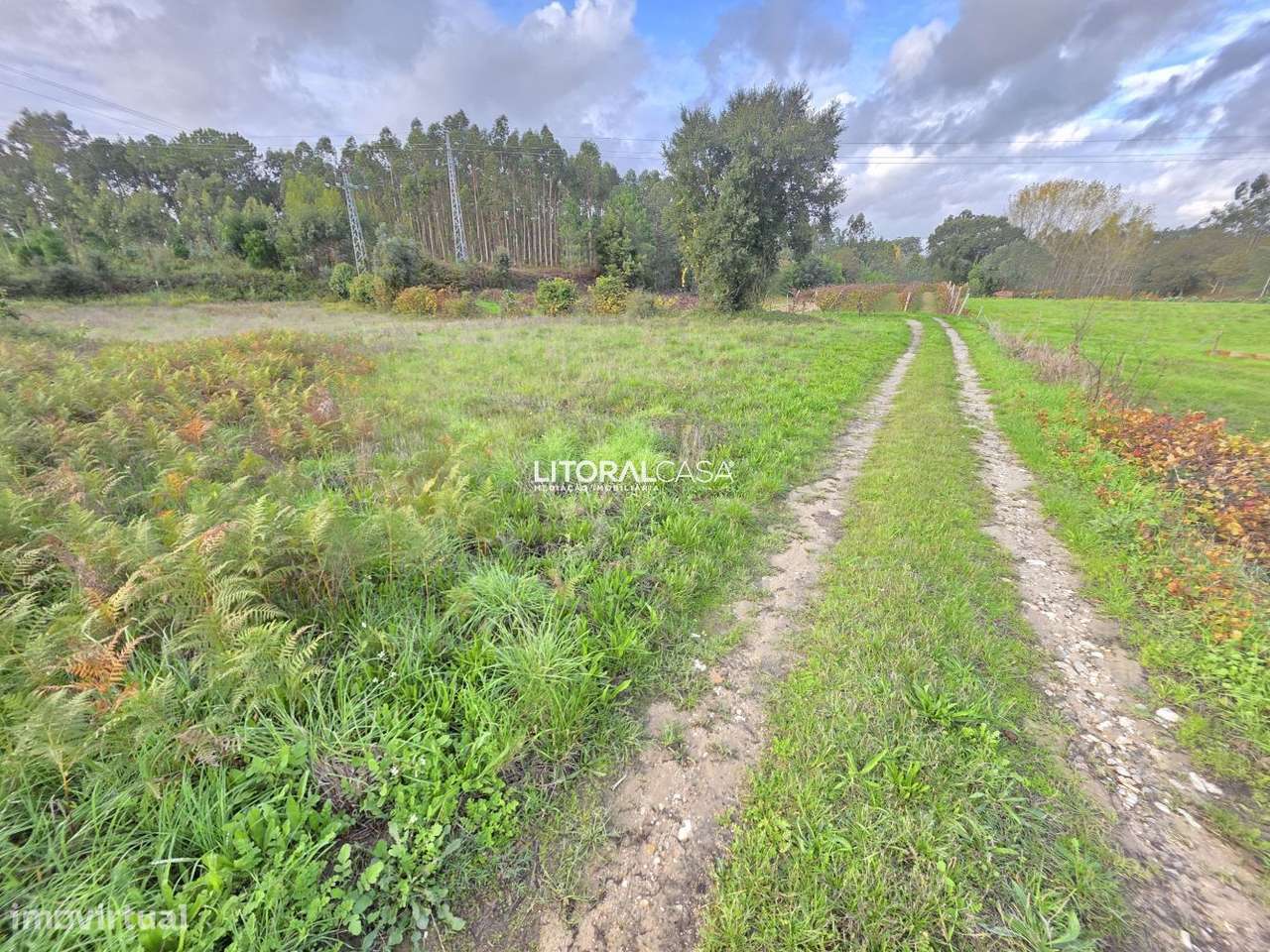 Terreno Agrícola - Eixo - Grande imagem: 4/14