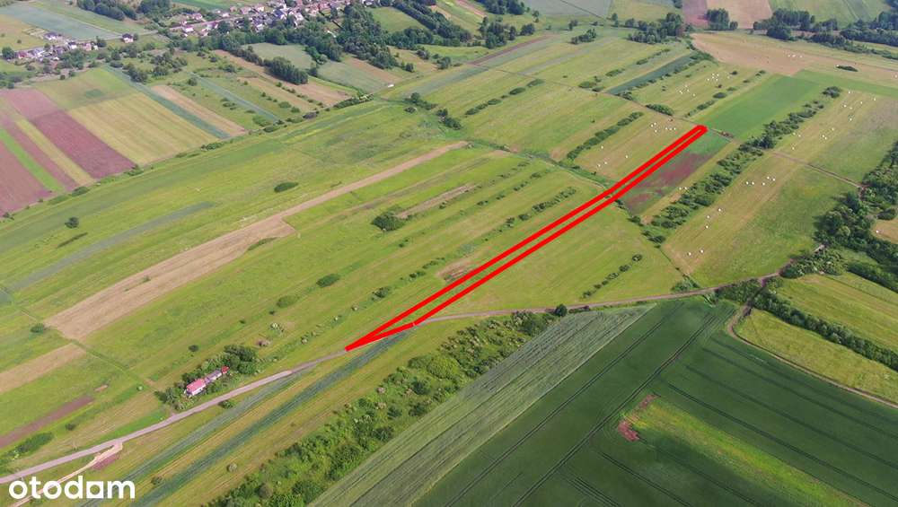 Działka rolna Poręba-Niwki-9