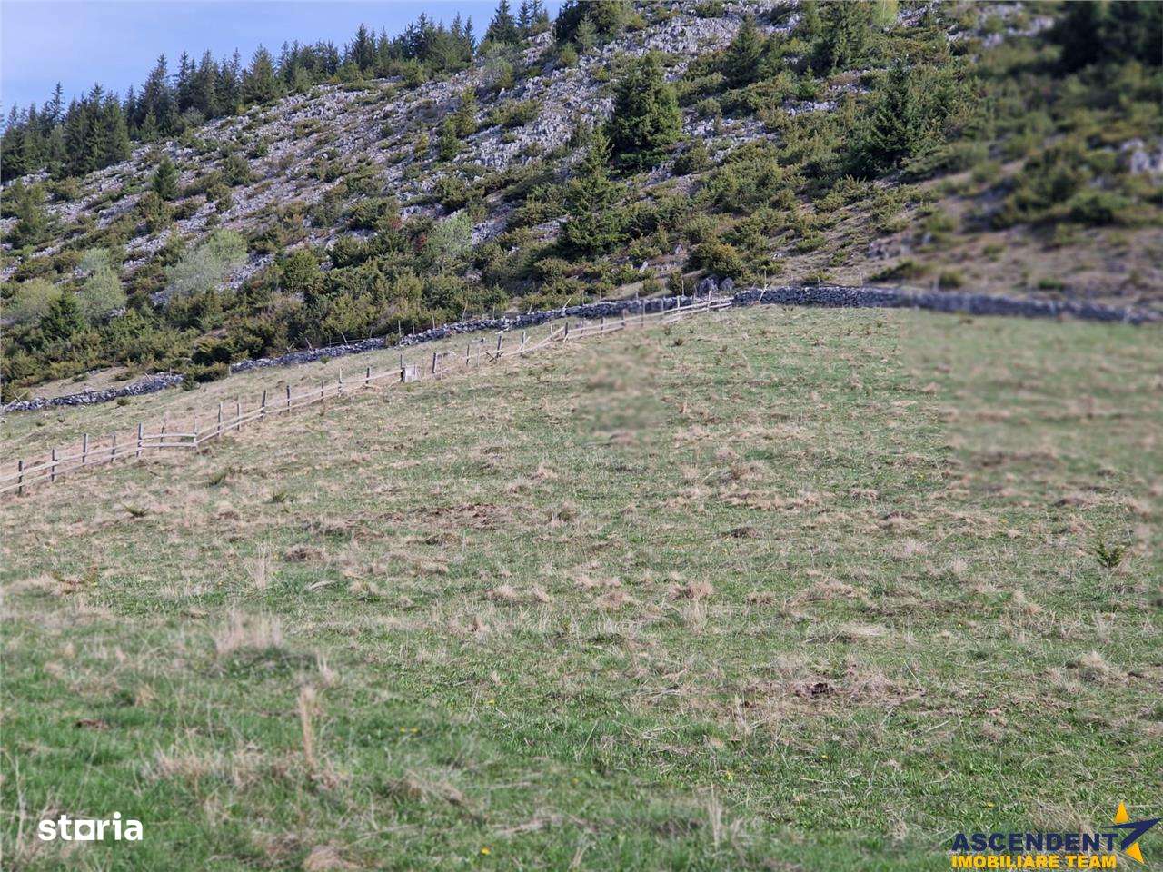 7.000 mp, pozitie spectaculoasa, fara vecini, Fundatica, Brasov - Imagine principală: 5/20