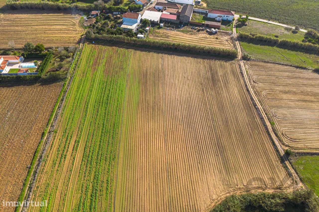 Terreno com bom potencial - Grande imagem: 3/10