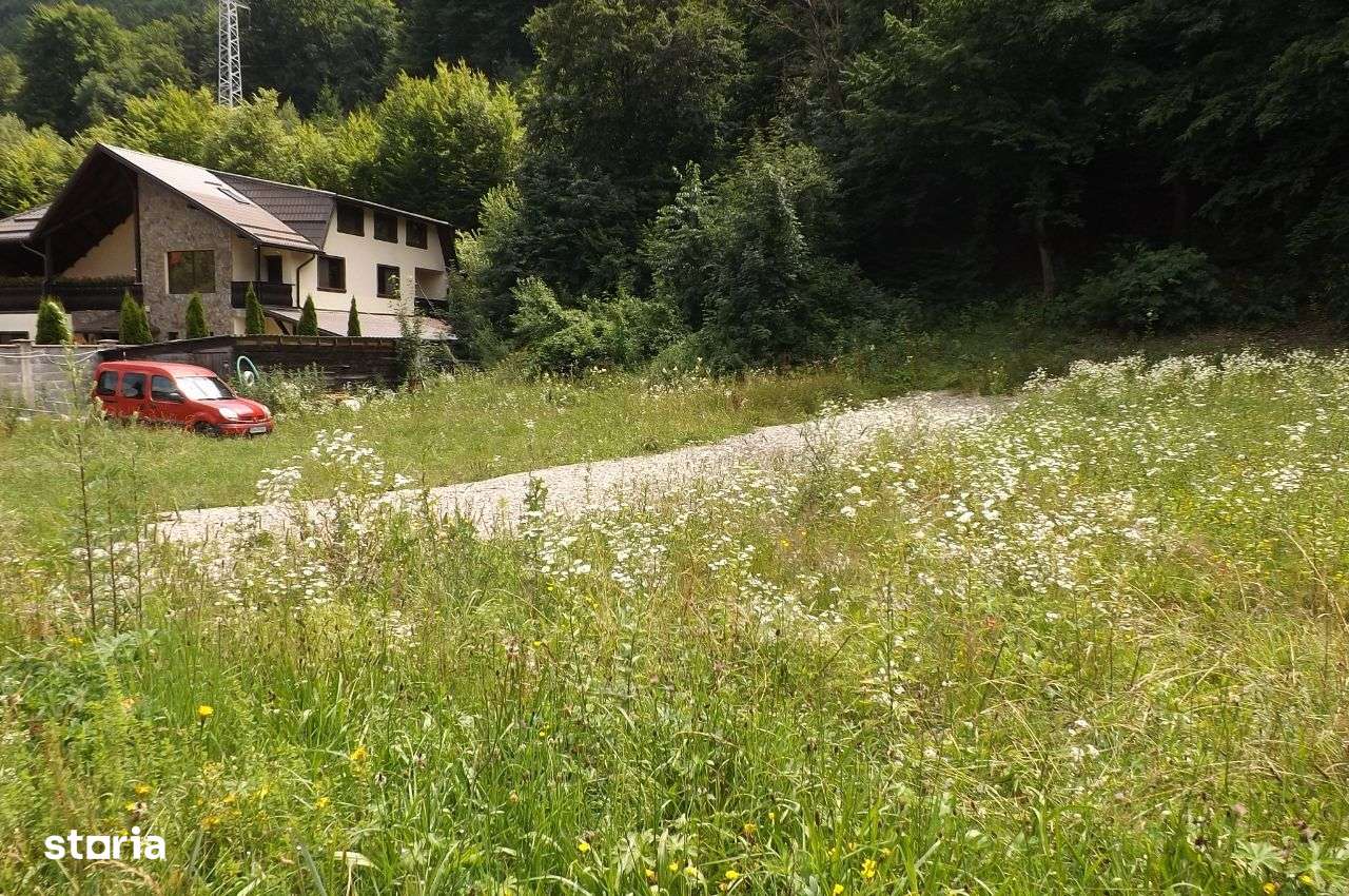 Teren de vanzare - Imagine principală: 5/7