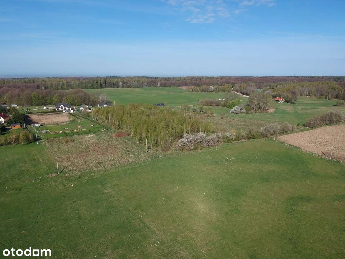 Działka budowlana Piastowo, gmina Milejewo - Pełny obrazek: 4/19