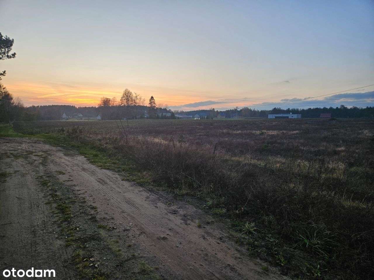 Kamień działka budowlana w okolicy lasu i jeziora - Pełny obrazek: 3/4