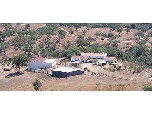 HERDADE 92 ha l Colos - Grande imagem: 2/60