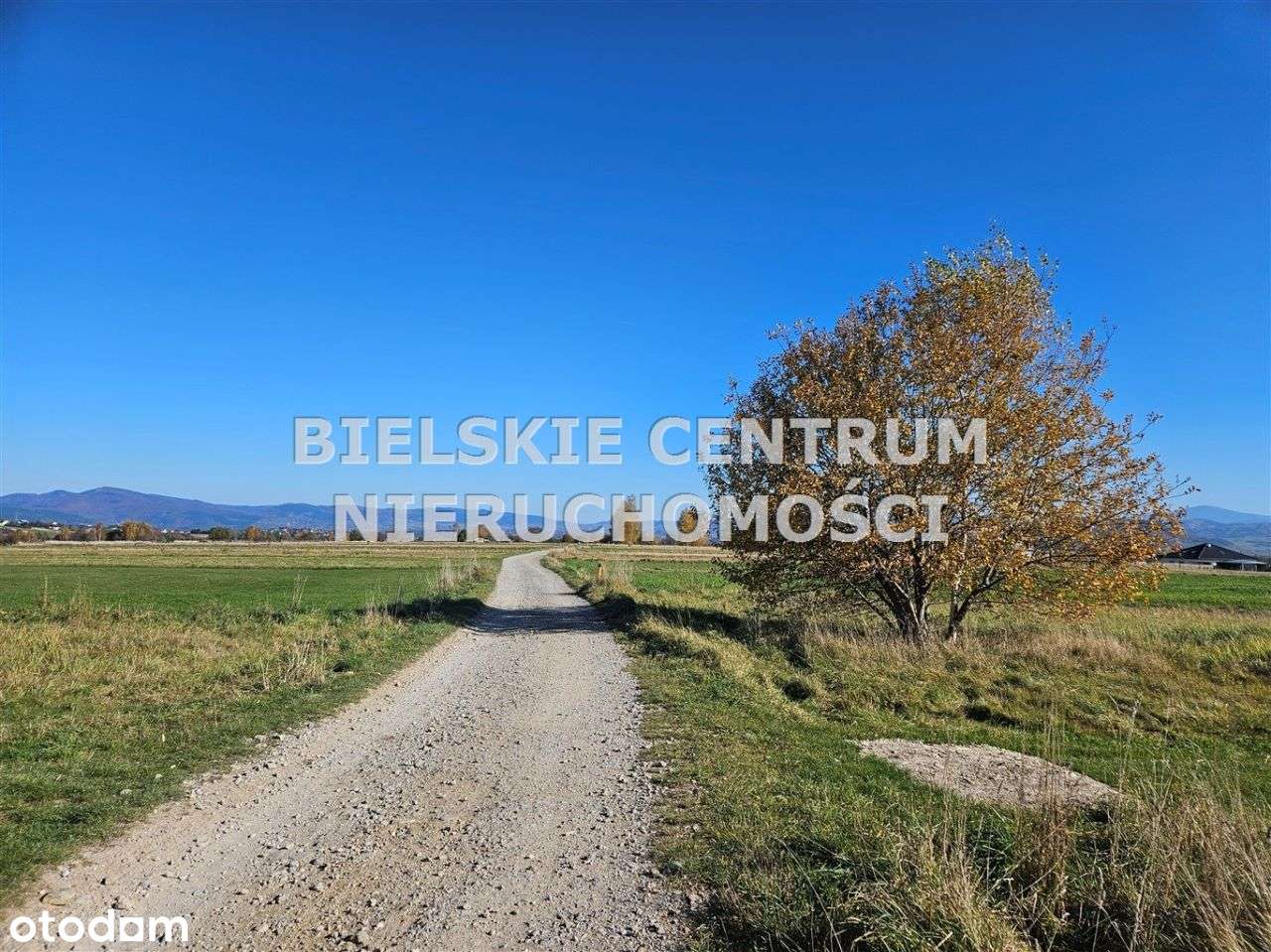 Działka, 10 300 m², Lipowa-13