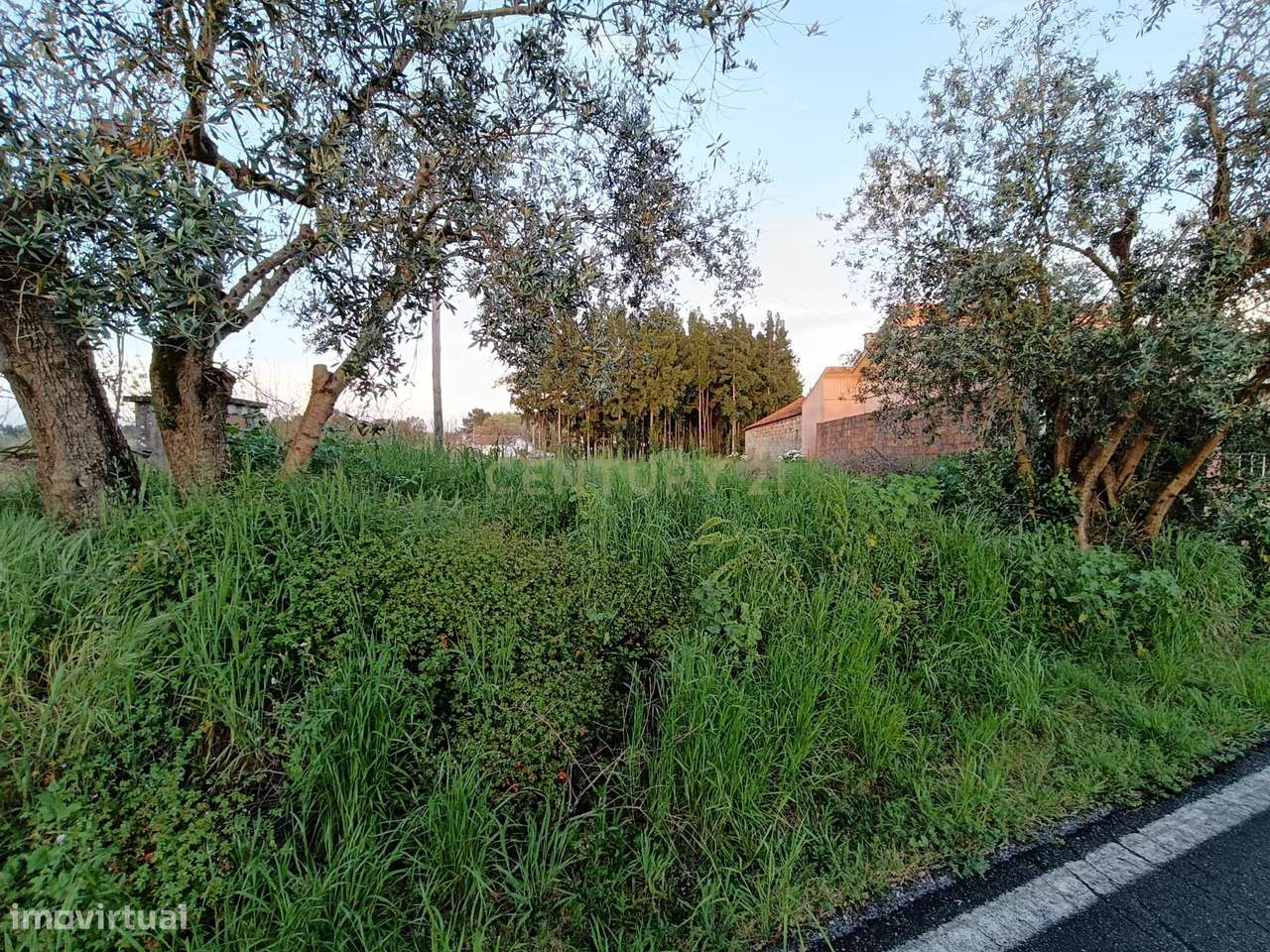 Terreno Urbanizável em Anadia - Grande imagem: 4/6