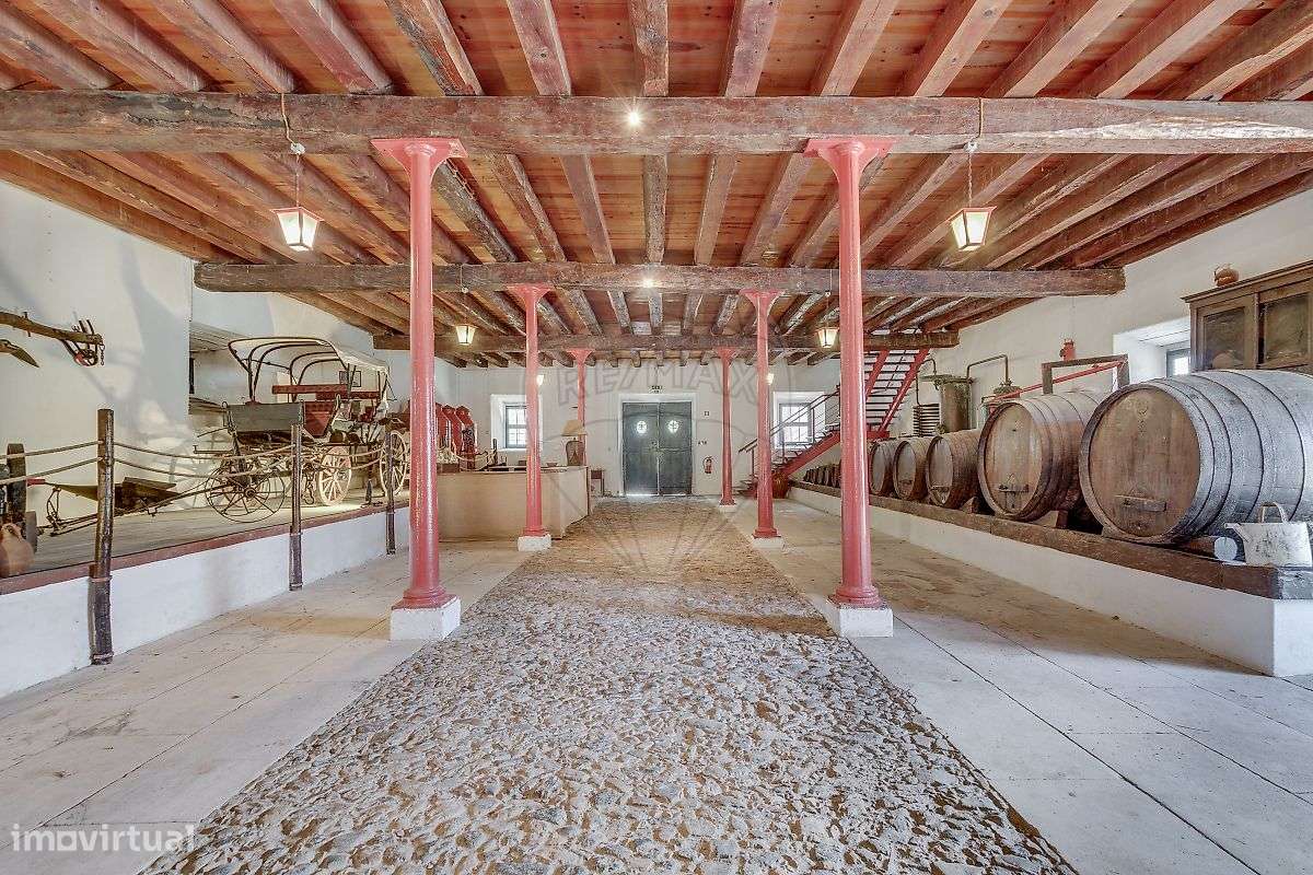 Quinta T21 para venda-22