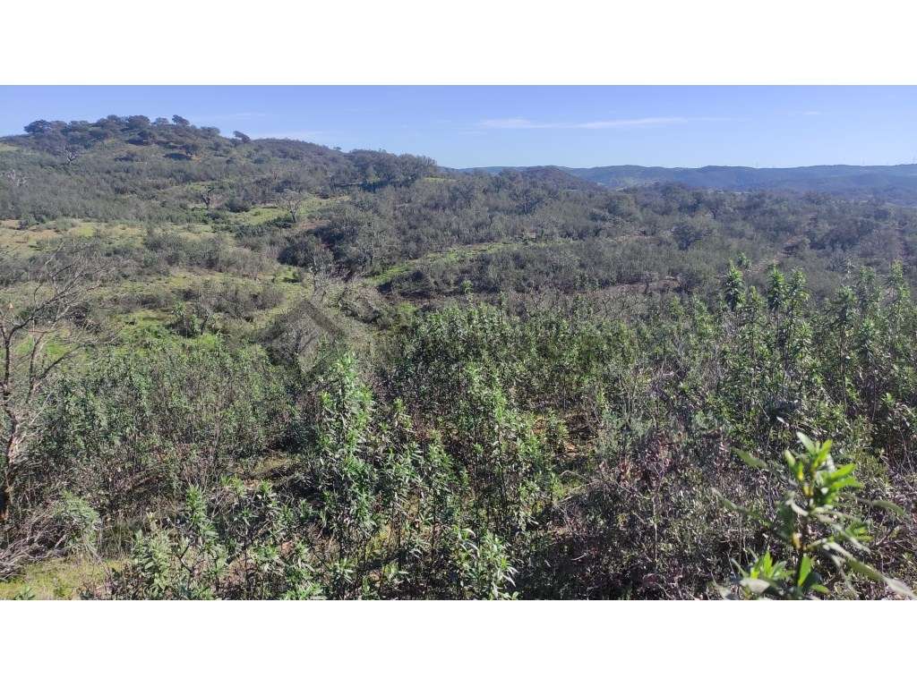 Terreno rústico de 1,85Ha localizado 1 Km a sudeste da localidade d... - Grande imagem: 5/10