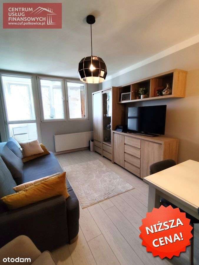 Ładne mieszkanie 2-pok. II p. 46 m2-Lubin, Pader-4