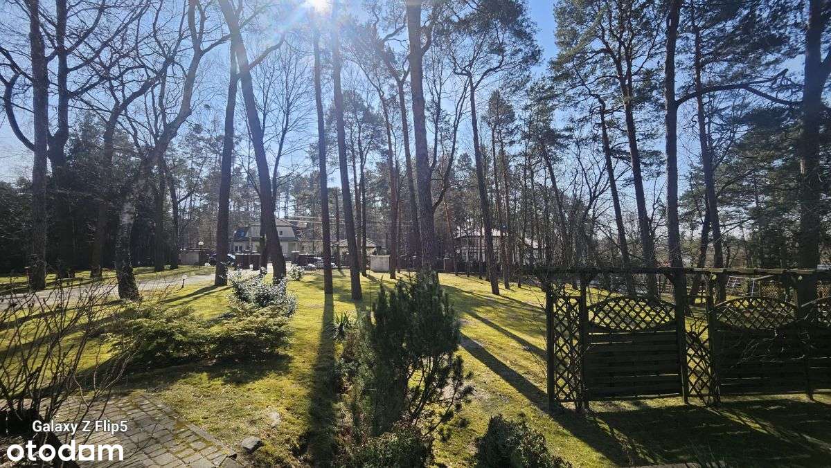 Dom 450 m2 otoczony starodrzewiem-2