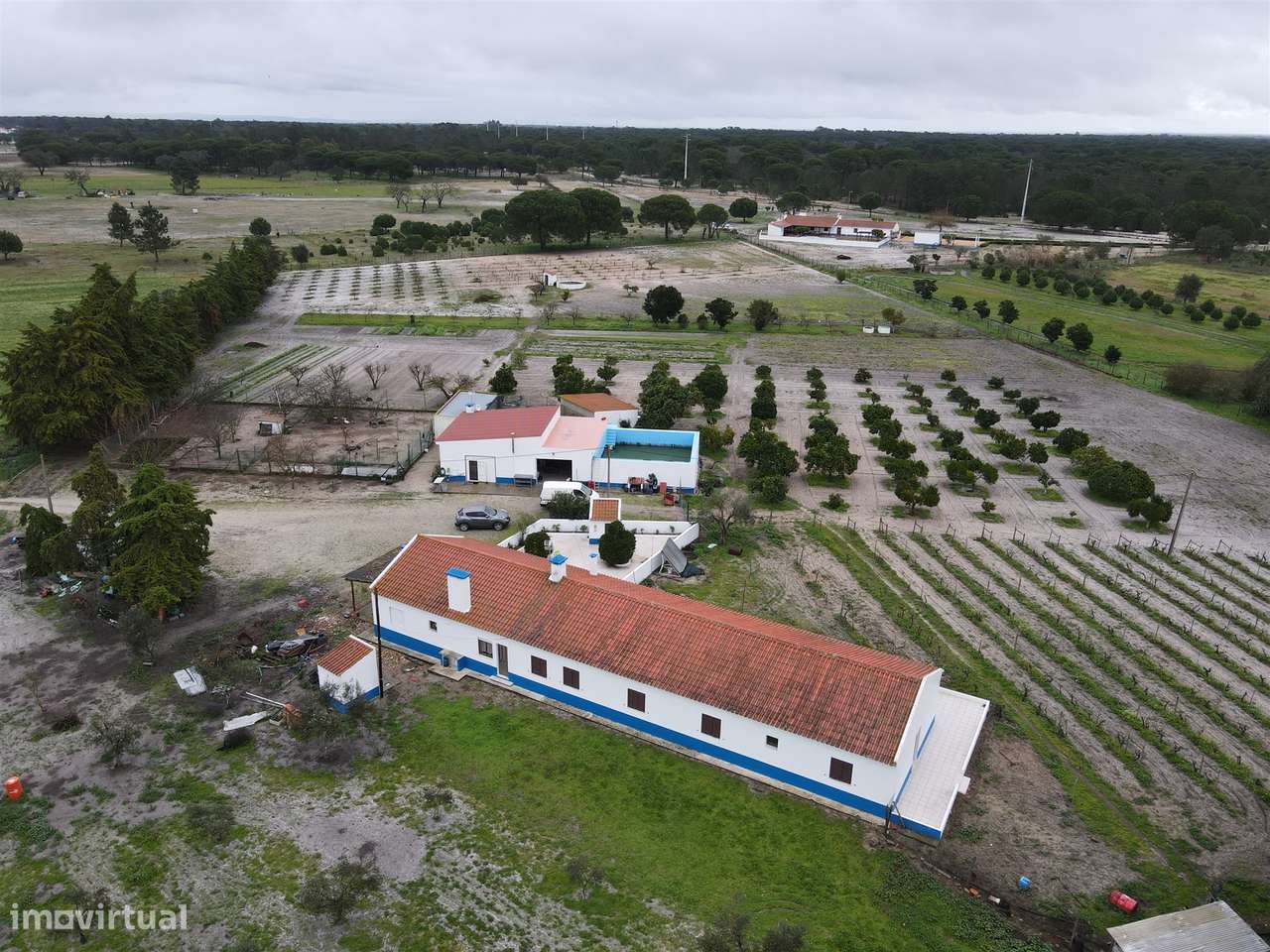 Quinta T4+2 no Alentejo - Grande imagem: 2/27