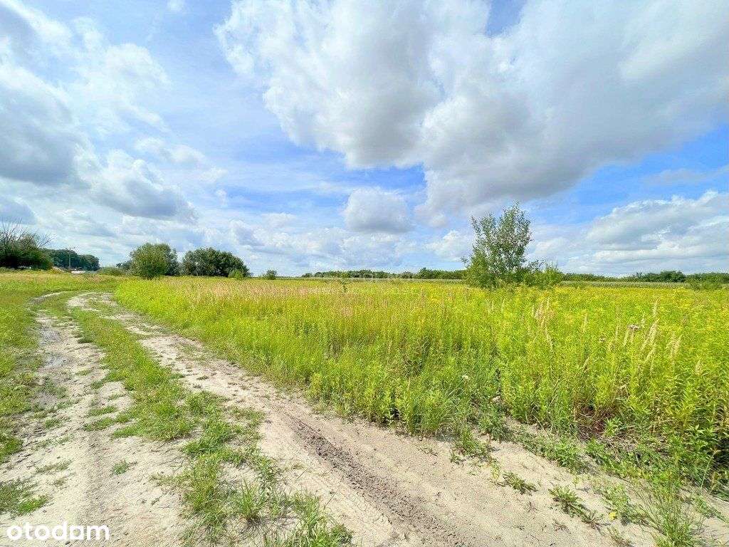 90ar, Bielawa, Długołęka - Pełny obrazek: 4/8