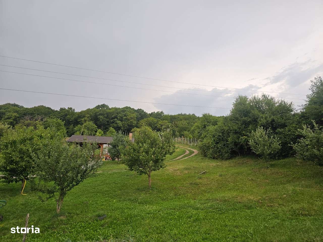 Teren 1.16 ha Valea Rusului – curent, 2 fântâni, căsuță + foișor-1