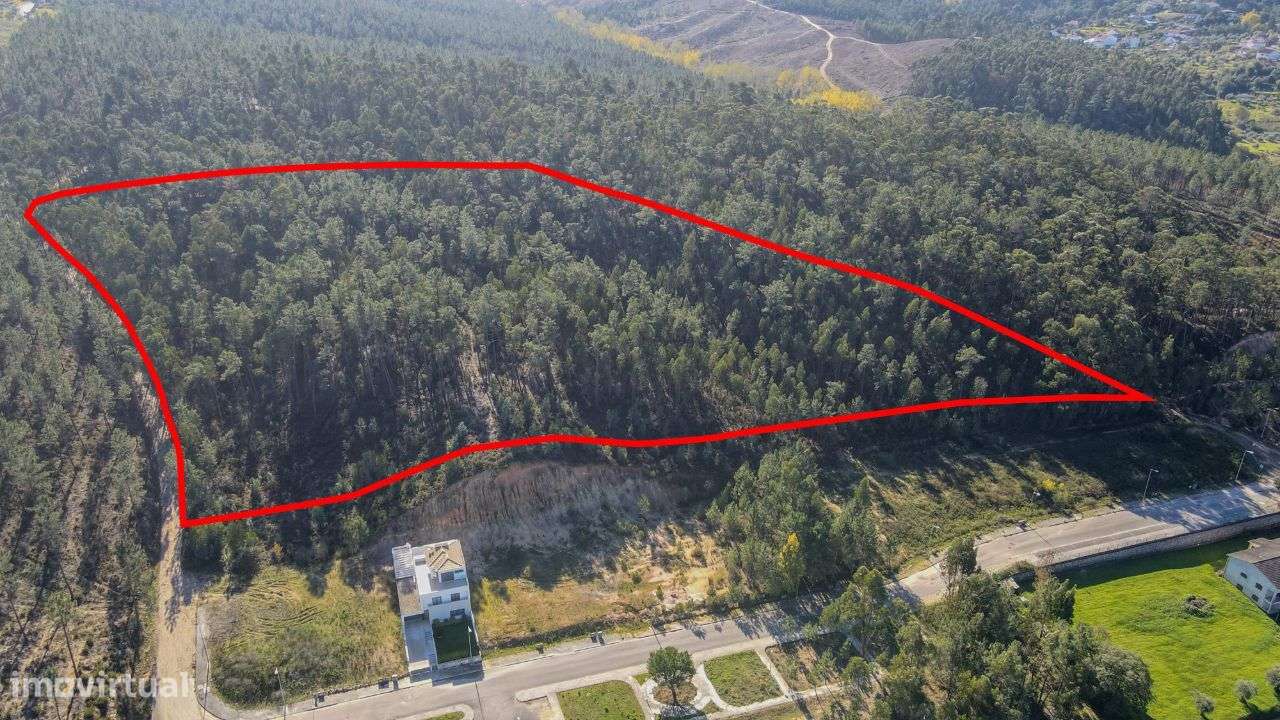 Terreno Rústico localizado na periferia de Ourém! - Grande imagem: 1/11