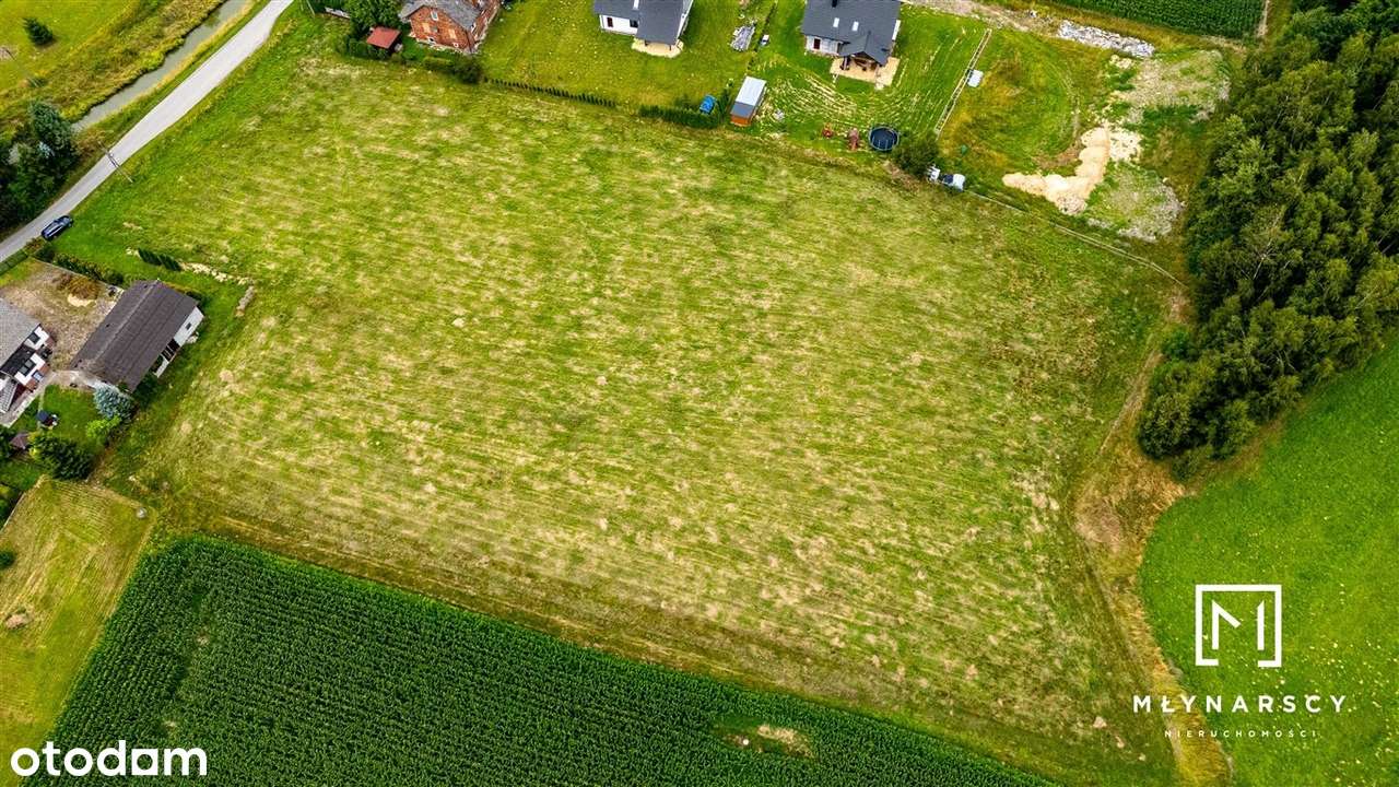 Ponad 8 arów w Dankowicach! - Pełny obrazek: 5/11